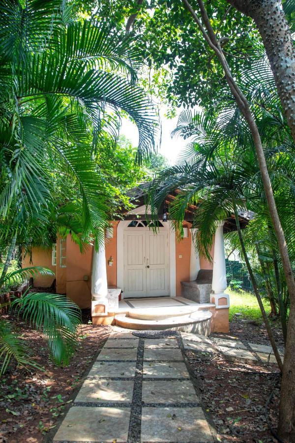 Wildflower Villas - All Villa Hotel, Family Run Candolim Luaran gambar