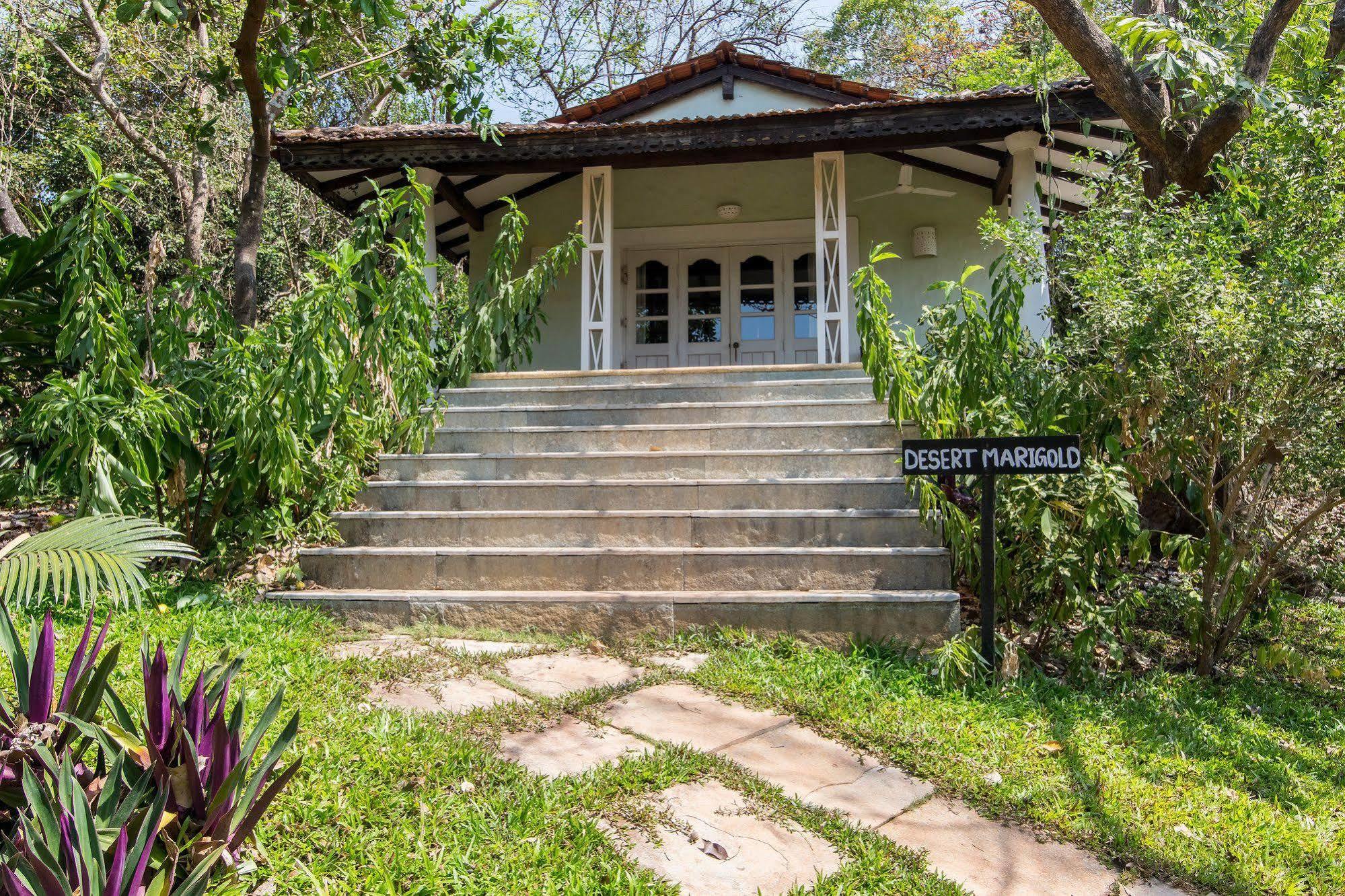 Wildflower Villas - All Villa Hotel, Family Run Candolim Luaran gambar